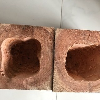 ウッディー鉢  多肉植物の画像