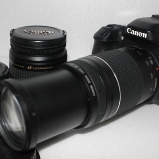 ★☆長期保証☆ Canon EOS 80D★☆トリプルレンズセット