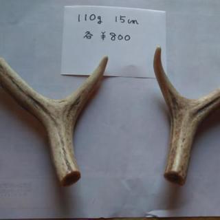 ペットが喜ぶ、富良野原野の鹿の角の画像