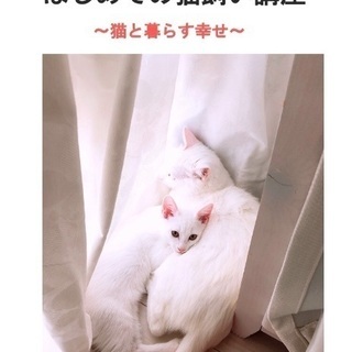 はじめての猫飼い講座🐈の画像