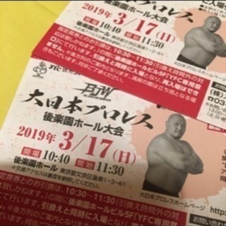 大日本プロレス入場引換券 二枚日時   2019年3月17日(日...