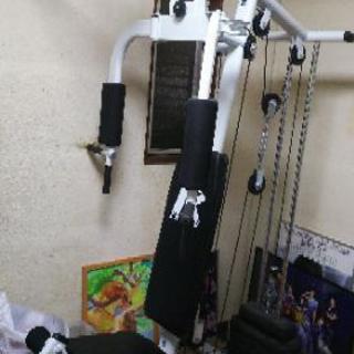 ファインディングロードホームジムEX