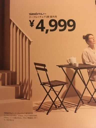 IKEA イケア テルノー 屋外用 テーブル ベンチ2脚 中古