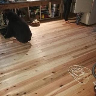 部屋のDIY,小屋作り等手伝います。請け負います。の画像