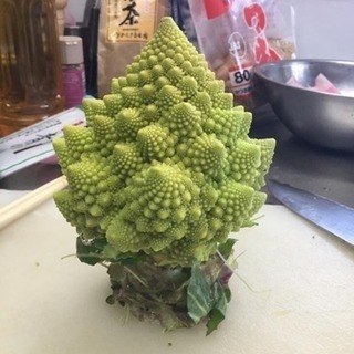無農薬化学肥料なしの野菜