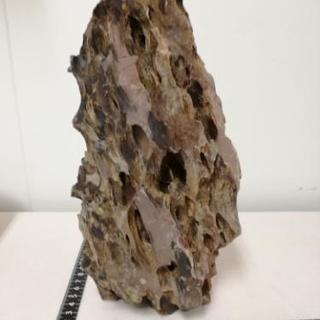 気孔石　一点物・親石