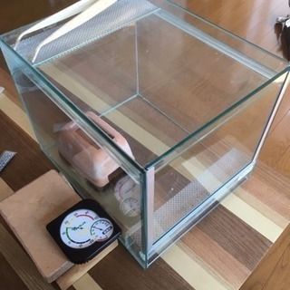 爬虫類 ガラスケース その他です！