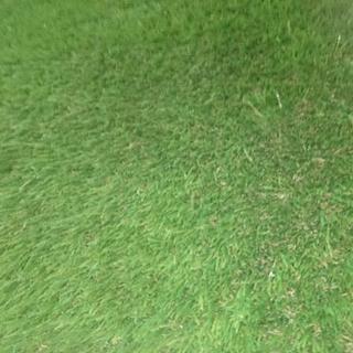 人工芝×6枚セット 【1m×1m】 芝4mmの画像