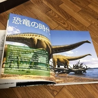 ⑵講談社の動く図鑑MOVE恐竜 40分DVDつきの画像