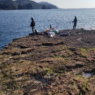 磯釣り、上物、口ぶと、尾長