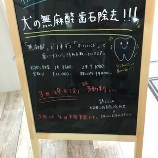 3月29日(金)