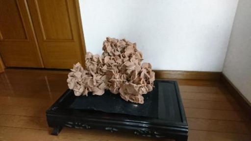 砂漠の薔薇