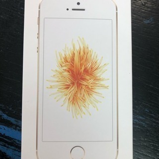 【SIMフリー】新品 iPhoneSE 32GB