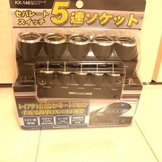 セパレート スイッチの5連ソケット