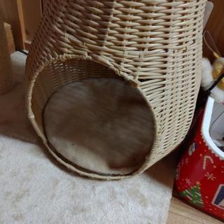 キャットタワー の画像