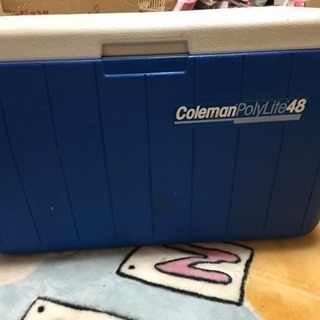 大きめクーラーボックス