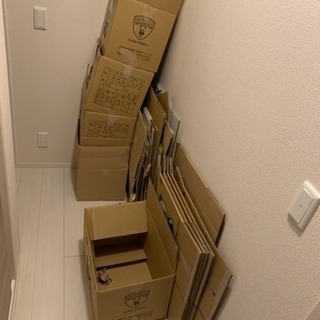 引越し用ダンボール