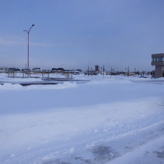 伝承ドライビングスクール！♪NEW自動車教習所・自動車学校OPEN♪の画像
