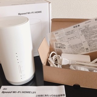 Wi-Fi HOME L01