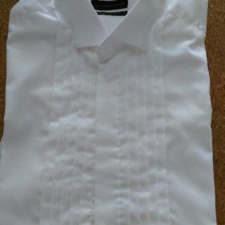 新郎　シャツ　ウイングカラー