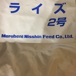  ライズ2号の画像
