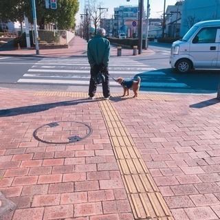 就活生、協力してくれる方募集