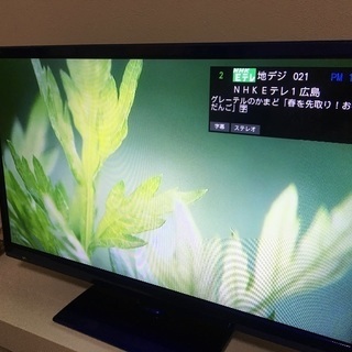 STAYER 24V型液晶TV
