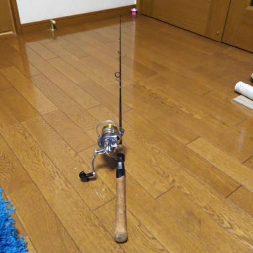 シーバスロッド\u0026リール Daiwa 602MLFS-V