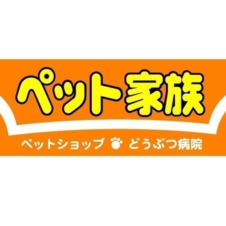 当社ECサイトの運営 (運営や管理/SNSを使った情報発信やマーケティング等)💻月給25万～37万円◆昇給賞与◆社会保険完備◆未経験者大歓迎💻の画像