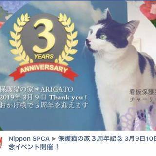 3月9日（土）13時～保護猫カフェで「アニマルポリス」＆ハワイアンスィートあと１名！ − 神奈川県