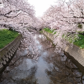 岩倉市の観光PRに関するお仕事