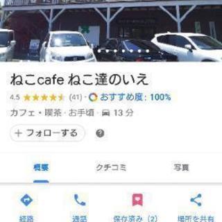 猫好きな方へ