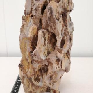 気孔石②　一点物・親石