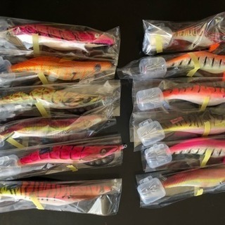 エギ12個セット