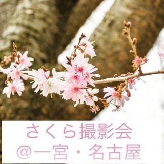 🌸3/31(日)「138タワーパーク 」でさくらロケーション撮影会🌸