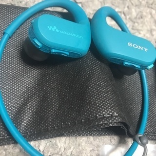 SONY Wシリーズ 8GB ブルーの画像