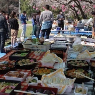 3/24(日) 桜咲く🌸食べ飲み放題♪お花見大宴会🌟 - 名古屋市