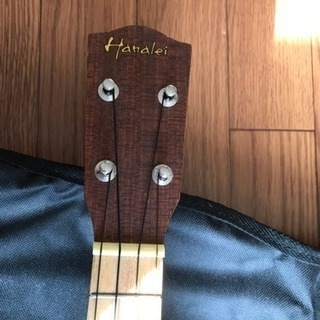 ウクレレ ♬ 入門機❗️