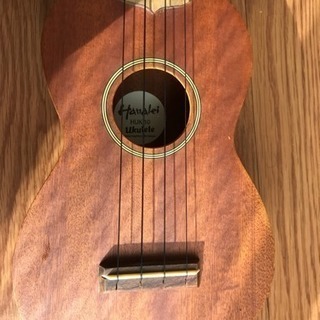 ウクレレ ♬ 入門機❗️の画像