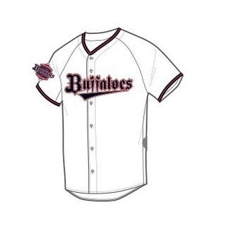 2019年 オリジナルユニフォーム オリックス・バファローズ Lサイズの画像