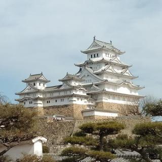 関西発・お城めぐり仲間募集