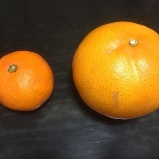 大和から中央林間付近でママ友探してます🧡