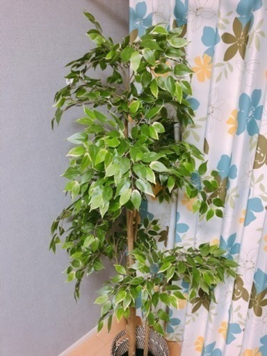 観葉植物★偽物ですが、