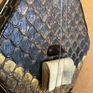 二胡を弾いてみませんか？の画像