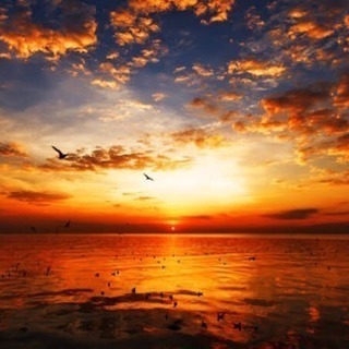 🌅🌅🌅✨✨夕焼けが好き✨✨🌅🌅🌅