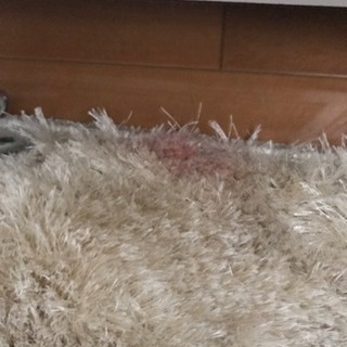 フランフラン ラグ&ホットカーペットの画像