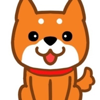 柴犬 里親募集