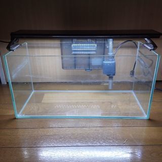 GEX水槽フルセット/熱帯魚・メダカ飼育に