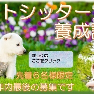 TV東京「たけしのニッポンのミカタ」で注目を浴びた　＜2daｙ＞...