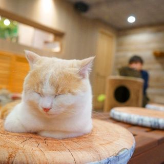 京都八幡市：少人数写真教室の画像